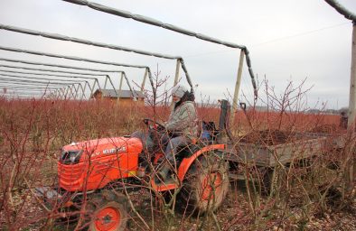 Ciągnik Kubota podczas jesiennych prac