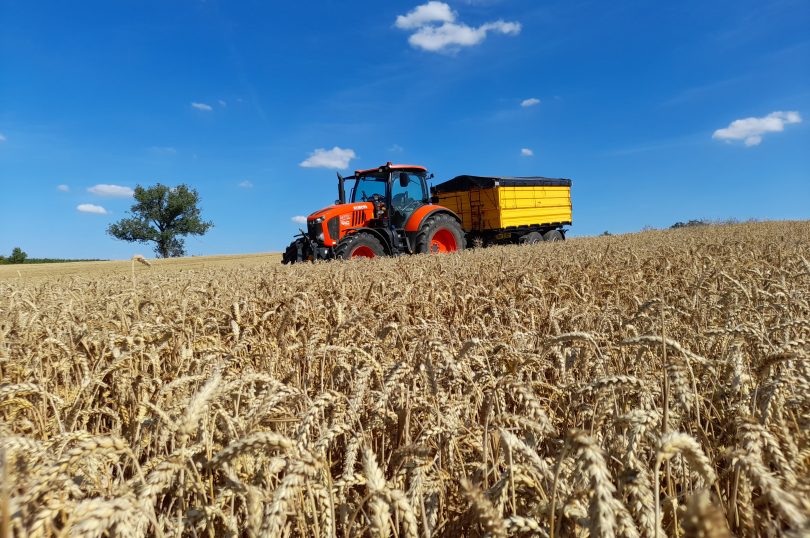 Kubota podczas żniw w polu