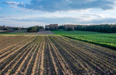 Oświadczenie o sprzedaży produktów rolnych