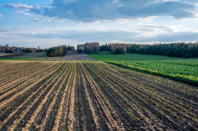 Oświadczenie o sprzedaży produktów rolnych