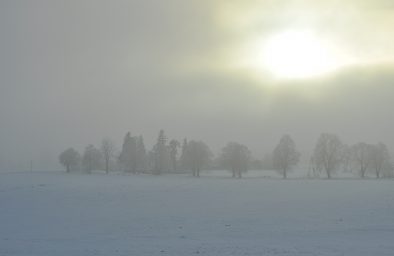 Pogoda dla rolników i sadowników