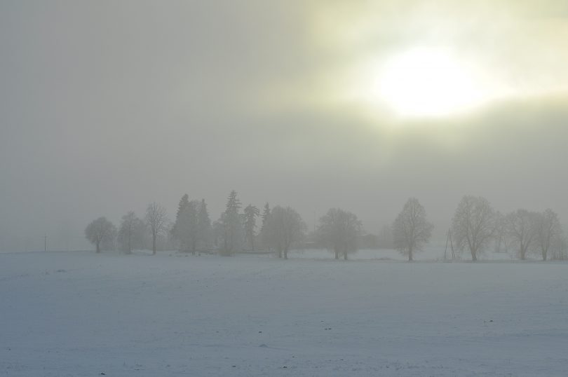 Pogoda dla rolników i sadowników