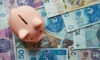 Dopłaty bezpośrednie na rok 2023