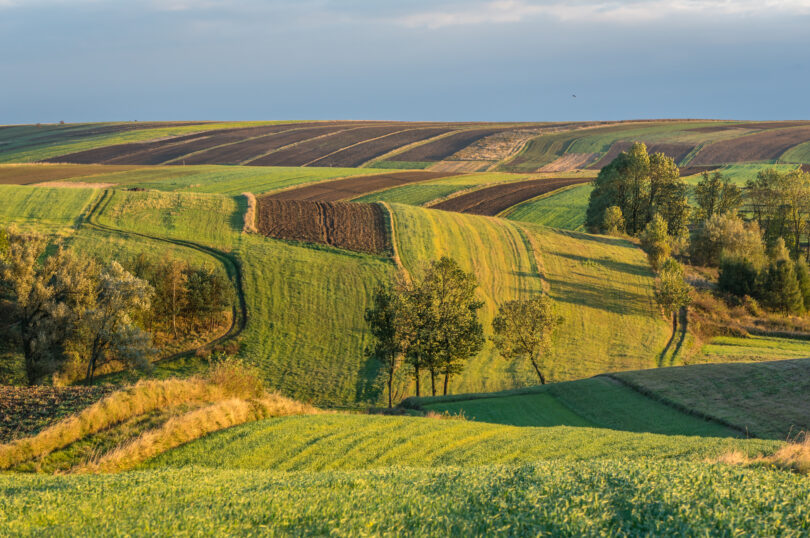 Płatności za ekoschematy