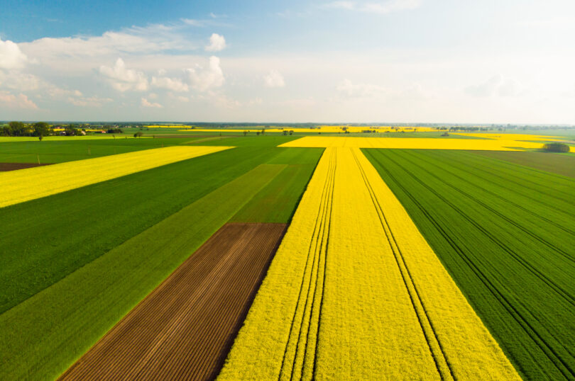 Pieniądze dla rolników