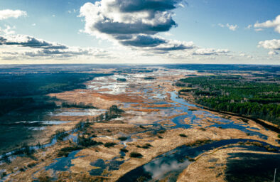 Nature Restoration Law